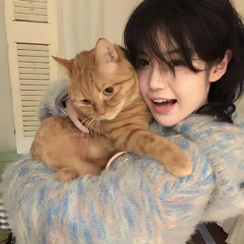 爱猫人